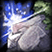 Skill Icon
